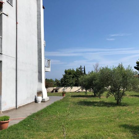 Modern House ξενώνας Άφυτος Εξωτερικό φωτογραφία
