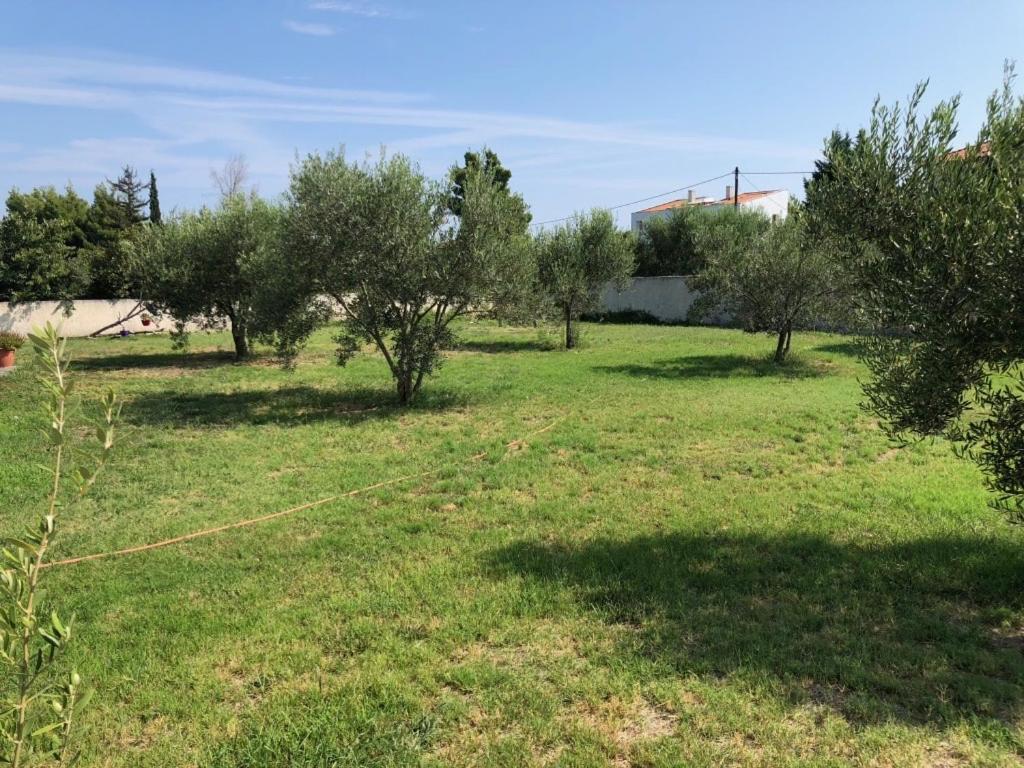Modern House ξενώνας Άφυτος Εξωτερικό φωτογραφία