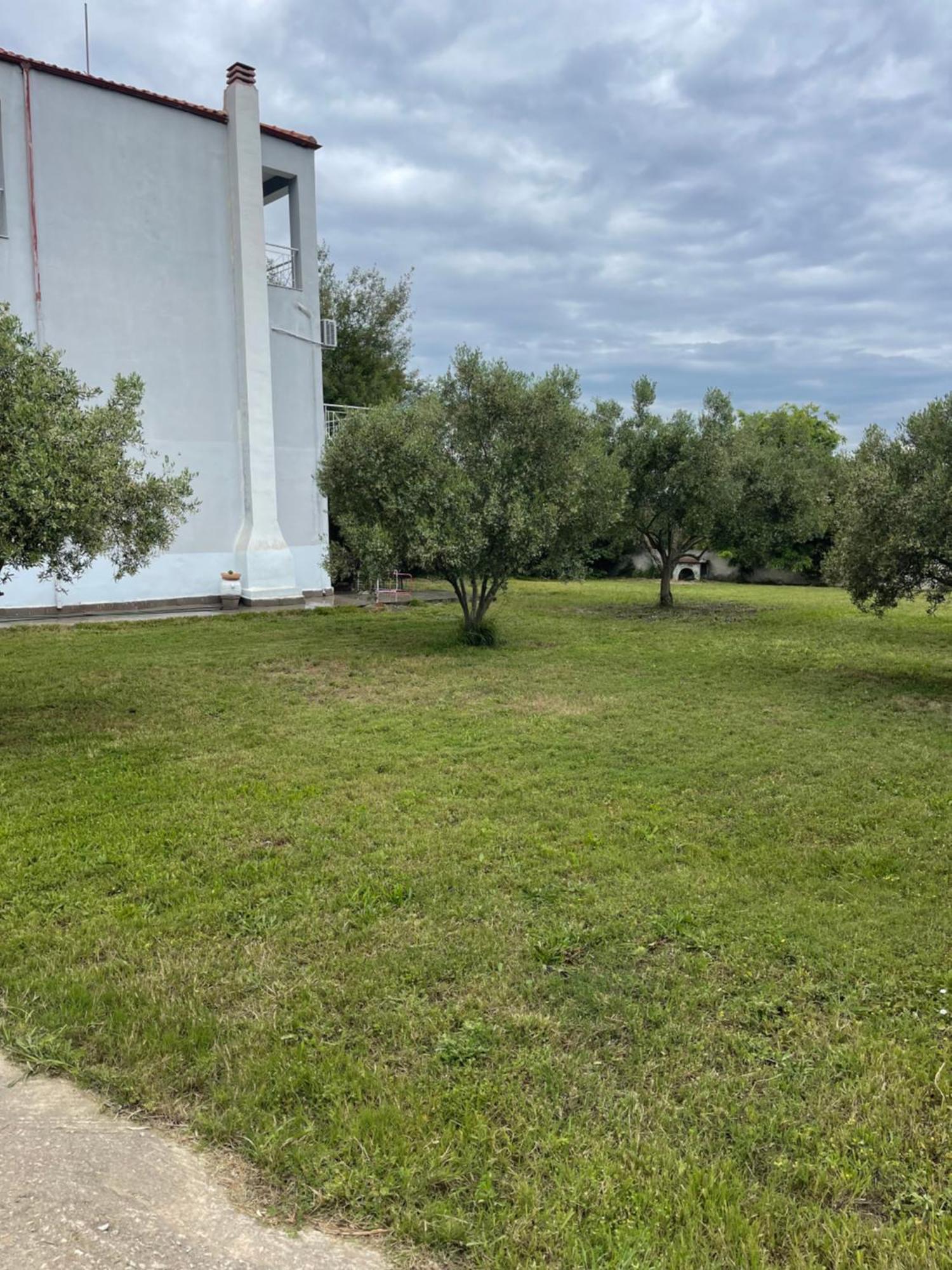 Modern House ξενώνας Άφυτος Εξωτερικό φωτογραφία